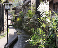 周辺観光イメージ